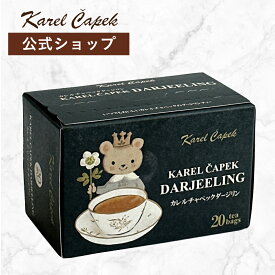 紅茶 20枚入り ダージリン 個包装 おうち時間 ご自宅 ギフト 贈り物 お手軽 人気 新登場 デイリーシリーズ20pダージリン