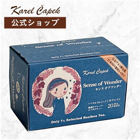 デイリーシリーズ20p | カレルチャペック センスオブワンダー