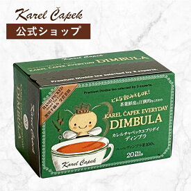 デイリーシリーズ20p |カレルチャペック エブリデイディンブラ