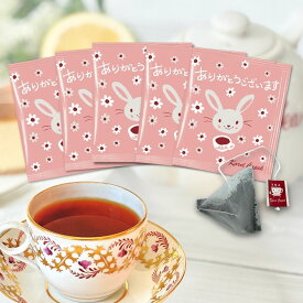 【ポスト投函】ホワイトピーチティー メッセージ入り 個包装 ティーバッグ （5枚）│ 桃 ありがとう メッセージ 気軽 おためし おすすめ ティーバッグ 贈り物 プチギフト 紅茶専門店 │ カレルチャペック ティーバッグ5p