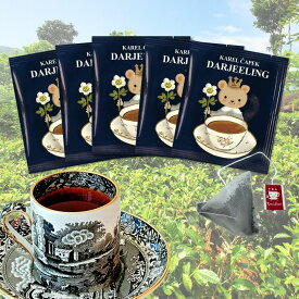 【ポスト投函】ダージリン 個包装 ティーバッグ（5枚）│ お試し ご自宅 おうち時間 ギフト 贈り物 お手軽 人気 紅茶専門店 │ カレルチャペック ティーバッグ5p