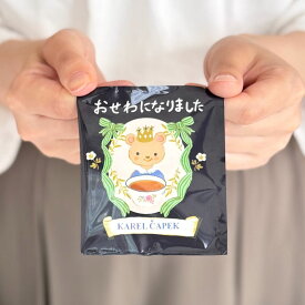 【ポスト投函】紅茶 プチギフト 退職 お世話になりました メッセージ入り ダージリン ティーバッグ 5枚 10枚 20枚 挨拶 異動 お礼 感謝 ギフト プレゼント 個包装 大量 職場 会社 おしゃれ 産休 育休 引っ越し ほんの気持ち 心が伝わる贈り物