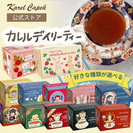 ★人気No.1シリーズ★【公式】 20種類から選べる デイリーシリーズ 20p 箱入り 紅茶 ティーバッグ（20枚）│ 個包装 アールグレイ アップルティー ピーチティー ティーバッグ 紅茶専門店 │ カレルチャペック デイリーシリーズ