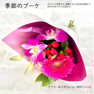 w~ju[Px  ԑ o 1 KN Ђ܂ q}  G߂̉ ~j u[P 2000 ~  v`Mtg v[g Mtg a a ԃMtg   킢 j