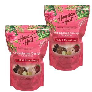 nCAz[Xg }J_~AN` `RXgx[ 300g ×2 Zbg nCyY `R[g ibc XC[c