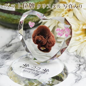 yybgʔvzyI[_[ChEybgʔvENX^ʔvzyybgEybgAzyybg{zANX^ x[Xn[g PHOTpyE꒤Et