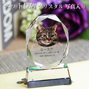 yybgʔvzyI[_[ChEybgʔvENX^ʔvzyybgEybgAzyybg{zANX^ I[o PHOTpyE꒤EtJ
