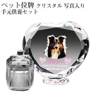 yybgʔvzyI[_[ChEybgʔvENX^ʔvzyybgEybgAzyybg{zANX^ n[g PHOTp 茳{ZbgyE