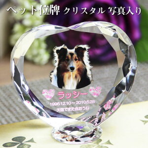 yybgʔvzyI[_[ChEybgʔvENX^ʔvzyybgEybgAzyybg{zANX^ n[g PHOTpyE꒤EtJ