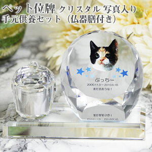 yybgʔvzyI[_[ChEybgʔvENX^ʔvzyybgEybgAzyybg{zANX^ VF PHOTp 茳{ZbgiVtjy