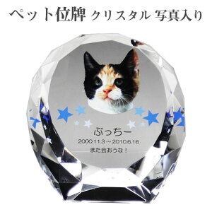 yybgʔvzyI[_[ChEybgʔvENX^ʔvzyybgEybgAzyybg{zANX^ VF PHOTpyE꒤EtJ