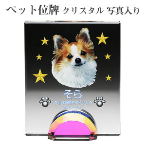 yybgʔvzyI[_[ChEybgʔvENX^ʔvzyybgEybgAzyybg{zANX^ IuO PHOTpyE꒤Et