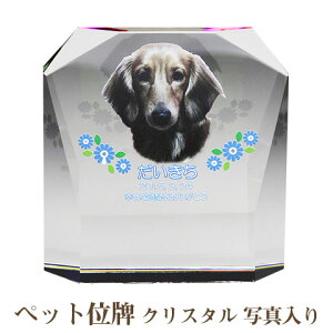 yybgʔvzyI[_[ChEybgʔvENX^ʔvzyybgEybgAzyybg{zANX^ _ PHOTpyE꒤EtJ