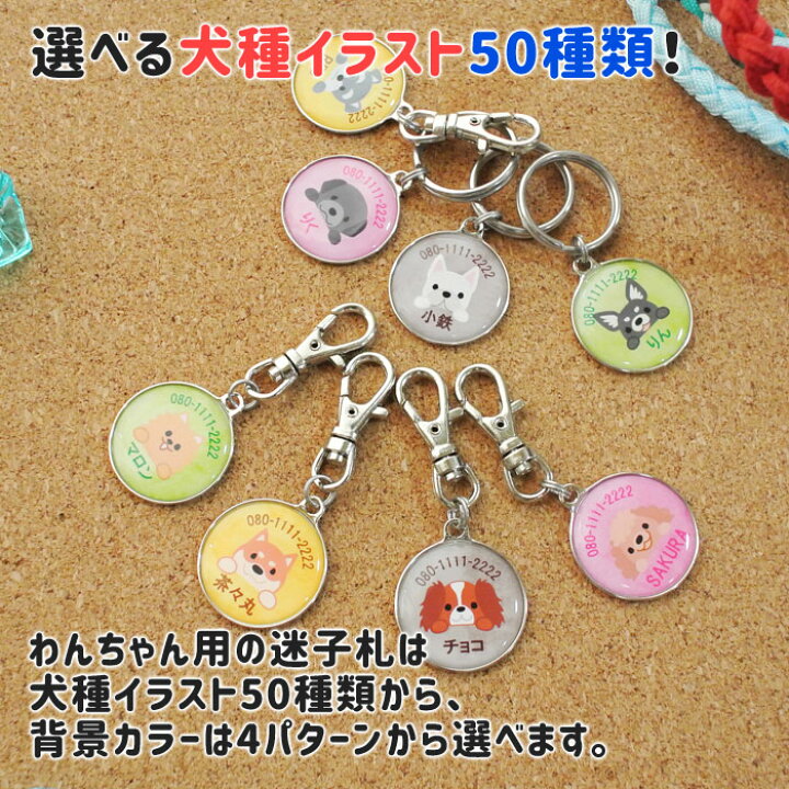 楽天市場 迷子札 犬種イラスト50種 オーダーメイド 名入れ ドックタグ ネームタグ愛犬 わんちゃん用超小型犬 小型犬 中型犬 大型犬ワンちゃん犬種イラスト入り ペット用迷子札 丸型 名入れギフト カリン