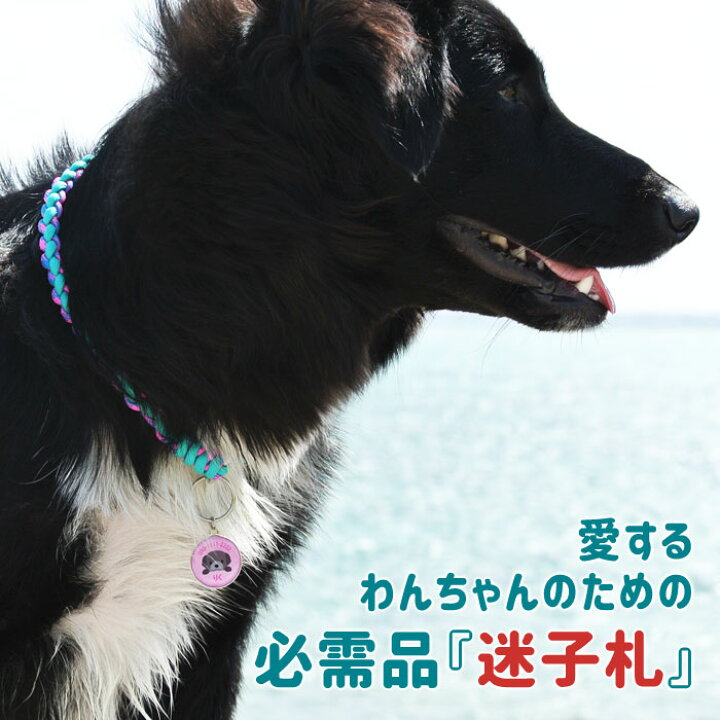 楽天市場 迷子札 犬種イラスト50種 オーダーメイド 名入れ ドックタグ ネームタグ愛犬 わんちゃん用超小型犬 小型犬 中型犬 大型犬ワンちゃん犬種イラスト入り ペット用迷子札 丸型 名入れギフト カリン