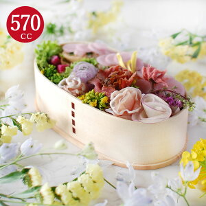 まげわっぱ弁当箱曲げわっぱ弁当箱小判無地1段白木ナチュラル570cc間仕切り選べるバンド付きおしゃれかわいい木製お弁当箱一段女子供杉曲げまげわっぱマゲワッパ和食器和風新生活運動会お花見