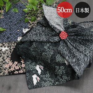 yXSi|Cg5{z C~ ٓ p { Y  50cm S2 `NX  킢 l ٓ  j ǂ q _ a ` a a hV̓ Mt