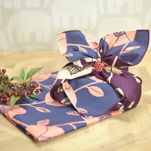 ٓ p C~ o[Vu  ӂ낵 ̗ʂĂȂ  F 50cm `NX  킢 l ٓ ׂƂ  j ǂ q _ a ` s 