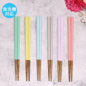 ǂ  HΉ Jg[ ؐ waguri I q ܊p 16cm qǂ LbY q ɂۂ`F A[XJ[     CO  yY a aH a Jg[   q 