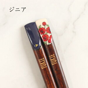 ꔢ K^ĂԂ 1V 23cm S3 {  J^ q  fB[X Y O l[  O NAP[X  K̔n Pi җj Ԃ LOi