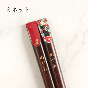 ꔢ K^ĂԂ 1V 23cm S3 {  J^ q  fB[X Y O l[  O NAP[X  K̔n Pi җj Ԃ LOi