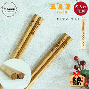 iF  ؐ ܊p i 22.5cm Pi H@Ή NAP[X mocca    󌱐  i O l[  H@ N ܊p  K Mtg 蕨 LOi