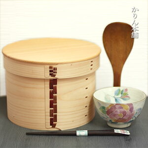 yN[|zzz  Ђ Ђ̂ Ȃ C ؐ  5 19.5cm {  Y YȂ ܂  }Qbp