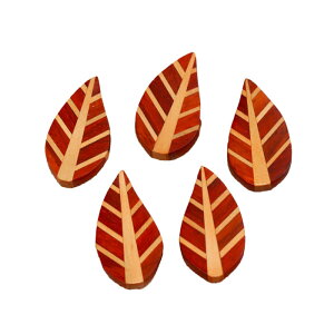 yN[|zz 11/4 20`z ؐ u  5Zbg set ؂̔u Jg[ Jg[Xg 킢  i`  Ebh G k ͂ a m H Lb`G