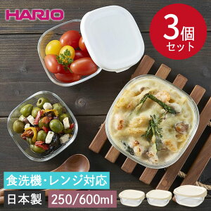 yN[|zzz HARIO nI ϔMKX ۑe 3Zbg ItzCg H@Ή dqWΉ {  u KX H XgbN 肨  ֗ َq Lb