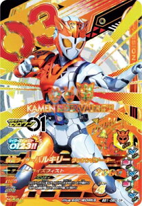 KoCWO BS1-060 CP ʃC_[oL[ bVO`[^[ yo[XgCY1ez yLy[z