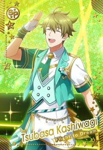 ACh}X^[ cA[Y IMT-02-070   SR y2ez