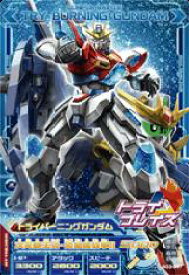 楽天市場 トライエイジ トライバーニングの通販