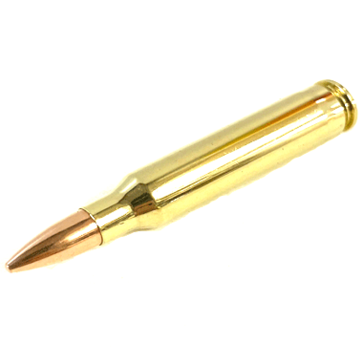 ≪USGI≫ ダミーカード 5.56mm 10発セット / 92年-SP (USED)