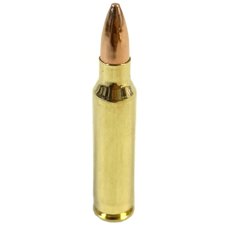 5.56mm弾 ダミーカート 8連 全て実物 US 5.56mm × 45mm リアルダミーカート 弾丸 実物の商品詳細