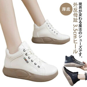 O  ꂸ Xj[J[ ₷   ʋ  ꂷۂ fB[X fB[X 3.5q[ C nCJbgXj[J[ RtH[gV[Y o| 