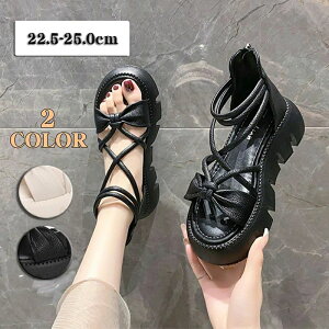 25.5 ₷ t obNt@Xi[  OfBG[^[T_ T}[T_ X|[c gAbv 5.5q[ fB[X C r V[Y 22.5 T_ tbg T}