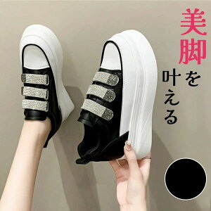  xN xg C fB[X   ؍ 22.0cm 24.5cm X|[c t Xj[J[ Xj[J[ Xb| JWAV[Y Vv ɂȂ lC ₷ Ȃ