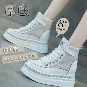Xj[J[ Ȃ gAbv nCJbgXj[J[ fB[X   [XAbv r Vv ҂ݏグ ʋΌC 킢 ₷ Sn悭 y  킢 