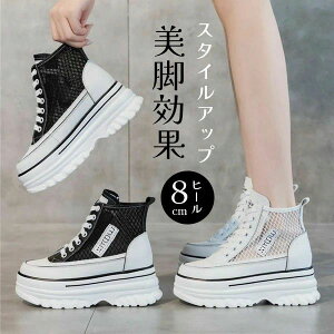 ؍ JWAV[Y [XAbv RC R \[ C r ʋC 킢 ₷ fB[XC  ҂ݏグ ₷ĊXj[J[ 