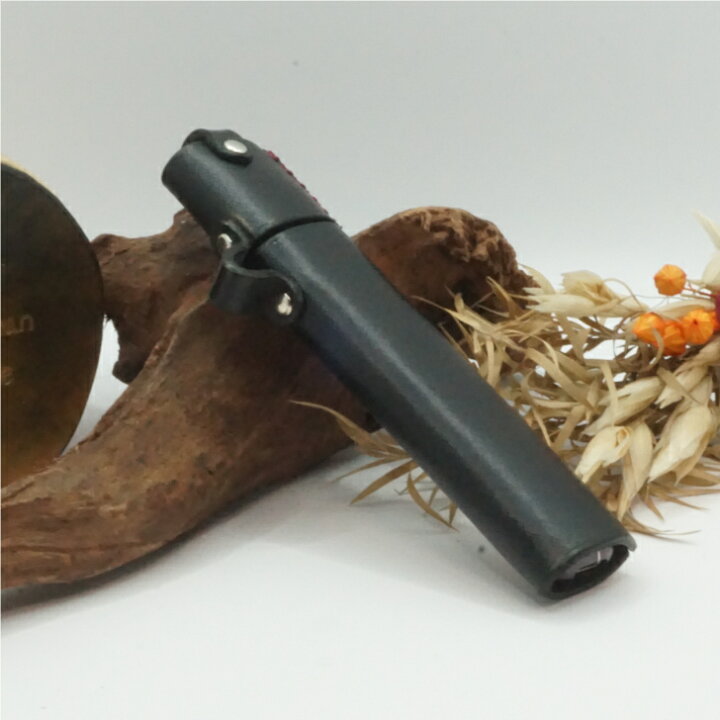 楽天市場】受注生産 ドクタースティックXケース キャップ付き 電子 