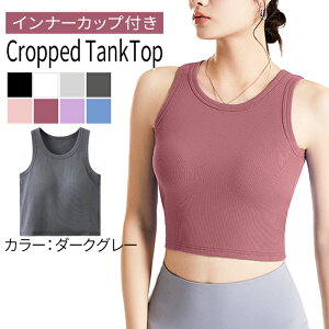 Jbvt ^Ngbv Nbvh ugbv u^N fB[X m[X[u ʋC u҂ 肵n sb^tBbg X^CAbv   D     M L XL rr