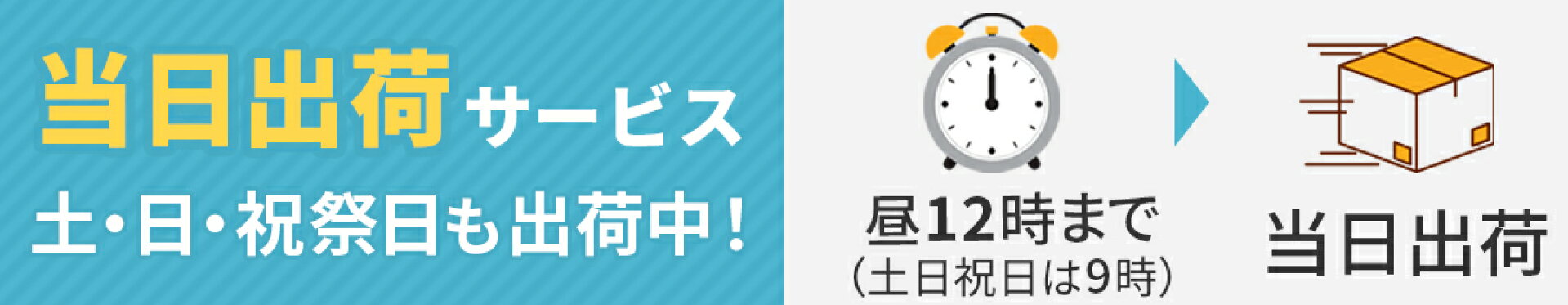 12時までのご注文で当日出荷