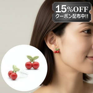 y15%OFF/܂ƂߔN[|zzz sAX ςȂ AM[ΉiZ~bNj2Zbg fB[X 킢 `F[`[t 퐻 Ԃ y