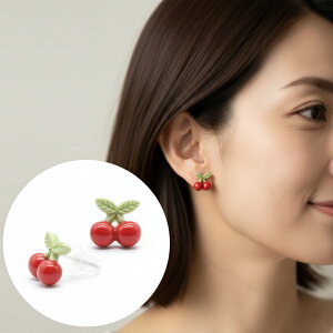  sAX ςȂ AM[ΉiZ~bNj2Zbg fB[X 킢 `F[`[t 퐻 Ԃ y