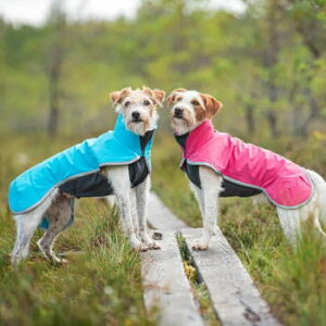 tBh̃hbOuhyPomppazy|bpzEhbOWPbgySportti Pomppaz