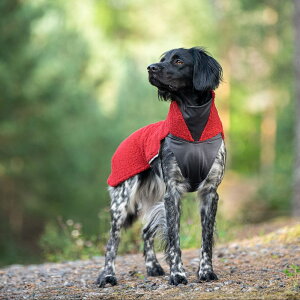 tBh̃hbOuhyPomppazy|bpzEhbOt[XWPbgyPolarPomppaz