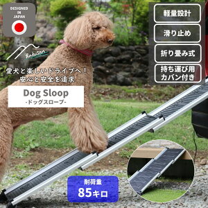 SESǋyHakusanEhbOX[vz