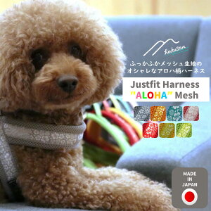 [Hakusan]kfUCAnn[lXyRtH[gWXgtBbgn[lXEAnbVz