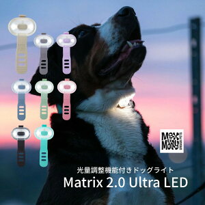 �h�C�c�EMax&Molly�@�[�d���h�b�O���C�g�yMatrix 2.0 Ultra LED�z