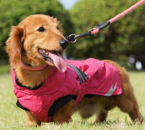 ペット服 犬 フルッタの人気商品 通販 価格比較 価格 Com